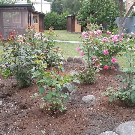 House In The Garden *