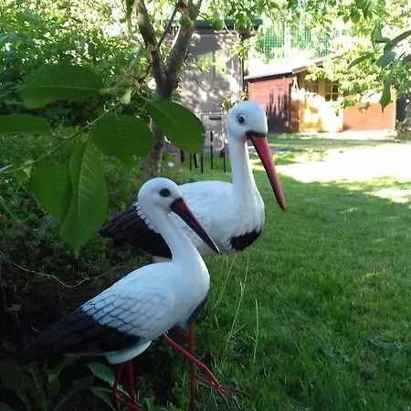 House In The Garden *