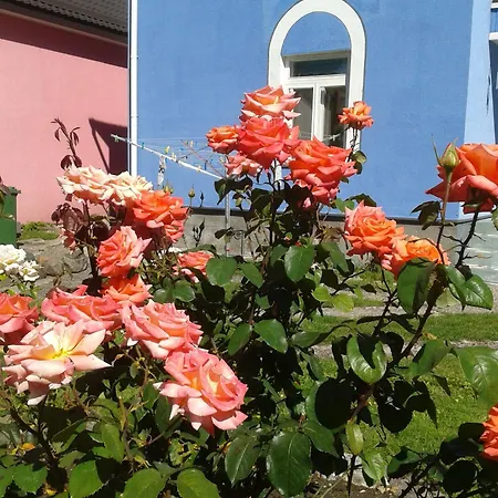 Feriepark House In The Garden Pärnu